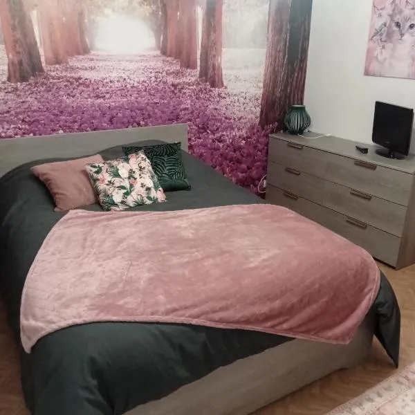 Appartement au rez -de -chaussée maison individuelle, hotel en Louvigny