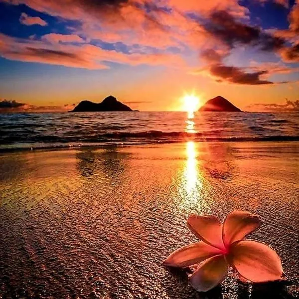 KANALU BEACH APPATEMENT, Hotel in Bouillante