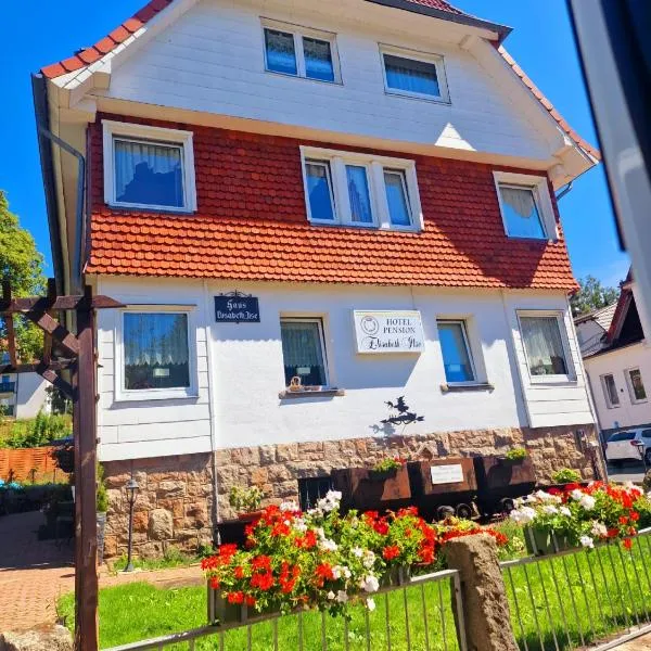 Hotel Elisabeth Ilse, hotel en Braunlage