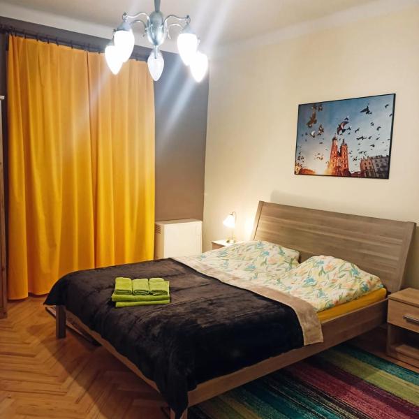 Dex, Cracovia