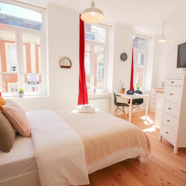 Lille centre- Nice and bright equipped studio