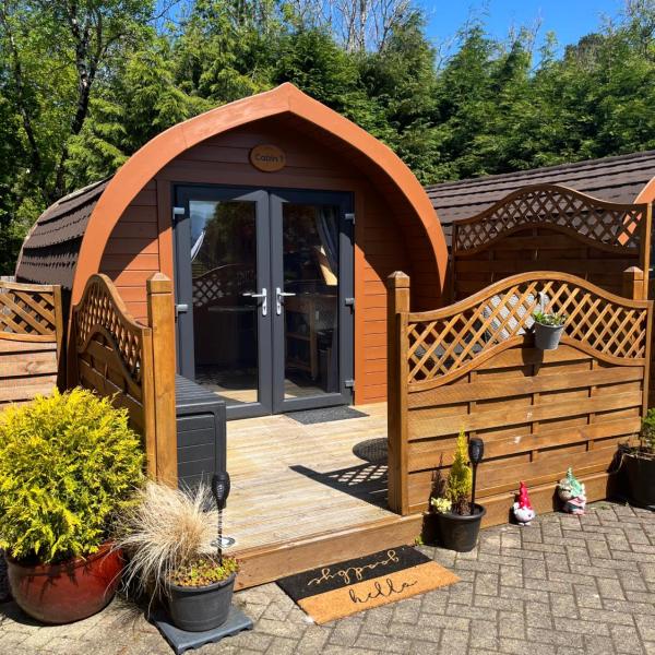 Conifer Cabins