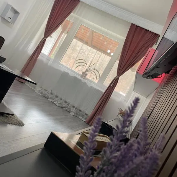 AKY Residence, ξενοδοχείο σε Slănic-Moldova