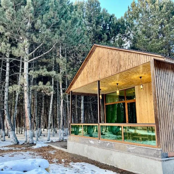 Milenium magic villas on Sevan beach, hotel a Sevan