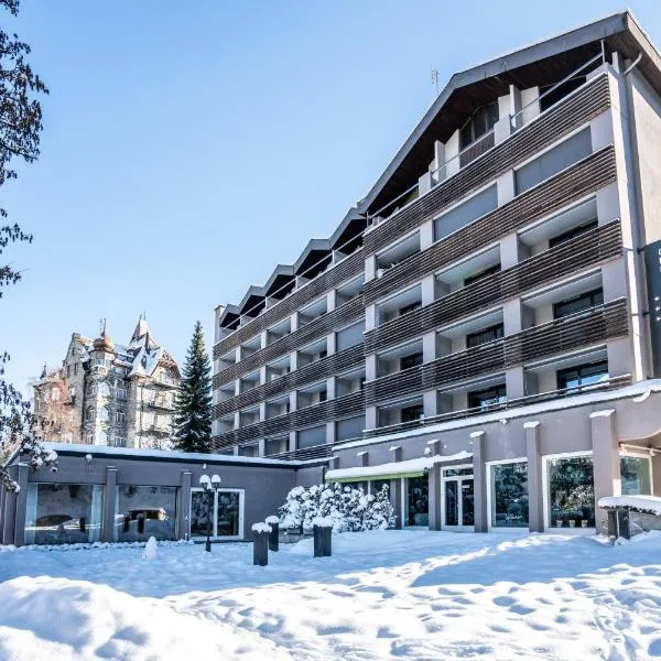 Studio im Hotel Des Alpes, Hotel in Flims
