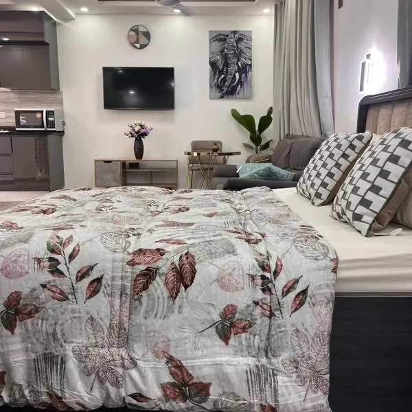 NBA PLUSH APARTMENT - GYE NYAME, hotel in Accra