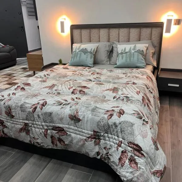 NBA PLUSH APARTMENT - NSROMA, hotel in Accra