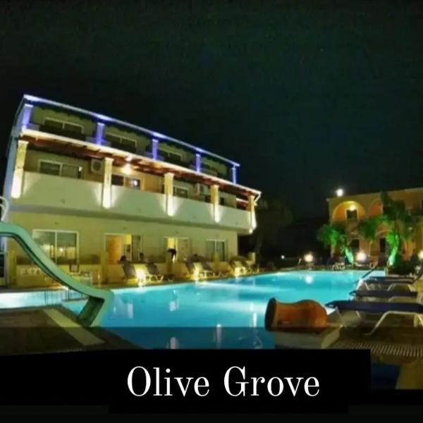 olivegrove
