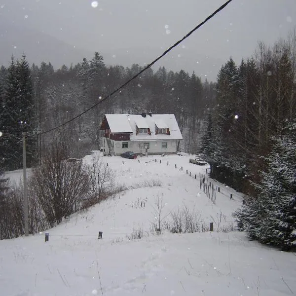 Apartment Park Crni Lug、スリ・ルーのホテル