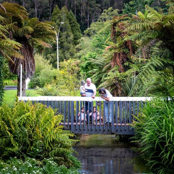 Ripple Rotorua