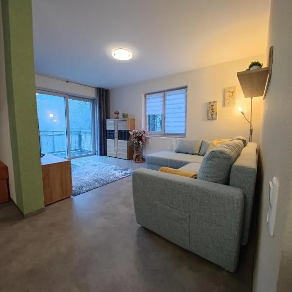 Ferienwohnung 1 barrierefrei, hotel in Schmiedefeld am Rennsteig