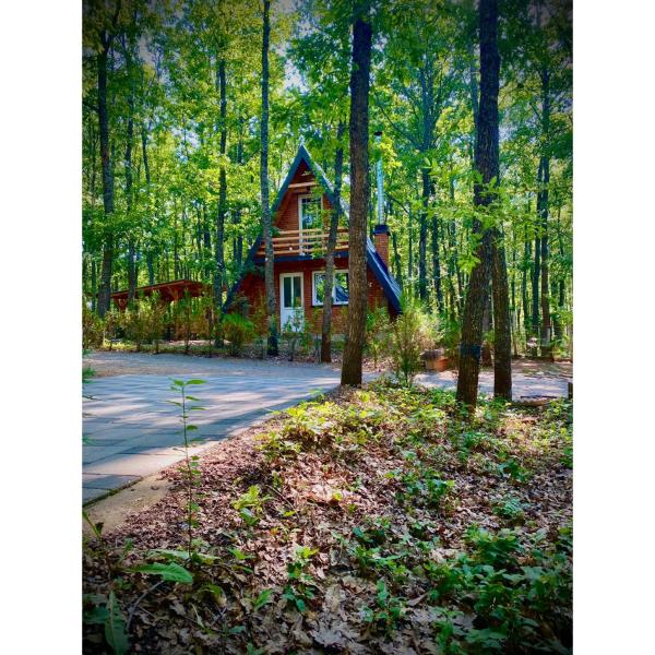 STANET Forest Houses, Novoberdo