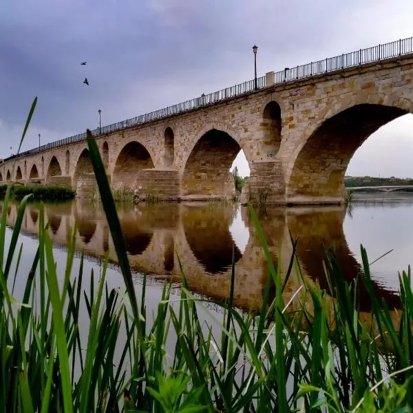 Hotel Puente de Piedra, hotel em Zamora