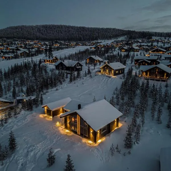 Vinterdröm Idre Himmelfjäll, hotel in Idre