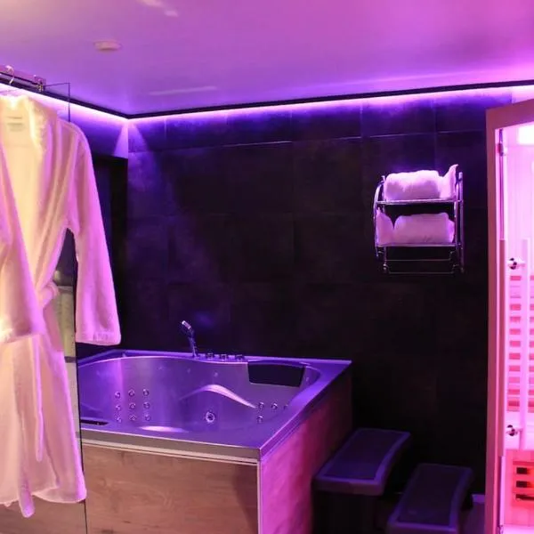 L'Ecrin duplex balnéo & Sauna, hotel v destinaci Troyes