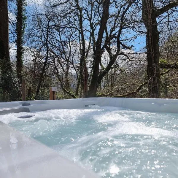 Nyth Y Goedwig、ドルゲラウのホテル