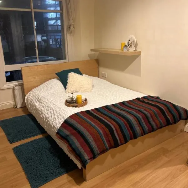 Comfy studio, Hotel in London