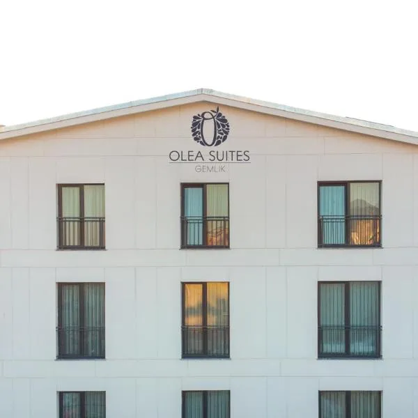 Olea Suites Otel, Hotel in Gemlik