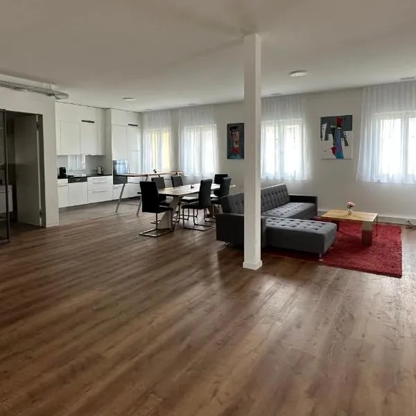Grosse Einzimmerwohnung/Büro/Showroom, hotel din Seengen