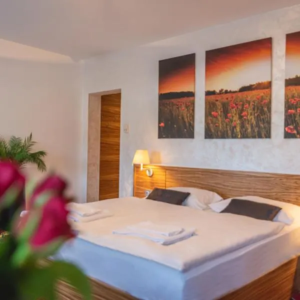 Casino & Hotel ADMIRAL Kozina, ξενοδοχείο σε Kozina