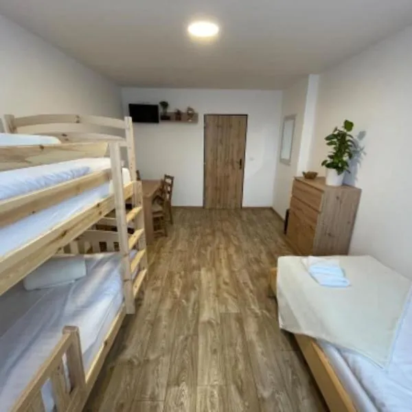 Apartmán Strážný-Šumava, hotel ve Strážném