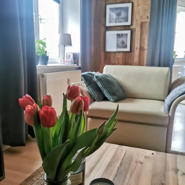 Mozaika Art Apartment PL LT EN, hotell Suwalkis