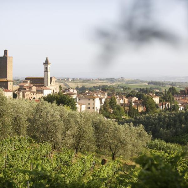 Agriturismo Podere Zollaio