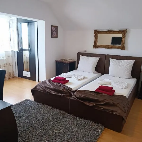 Family Pension, hotel in Arad