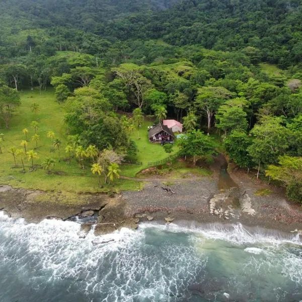 El Hongo Finca Hostal / Camping, hotel en Capurganá