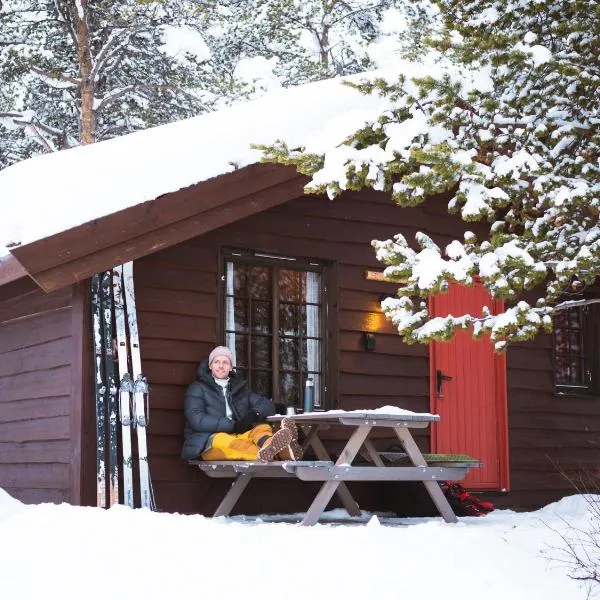 Sjodalen Hyttetun og Camping, hotel in Stuttgongfossen
