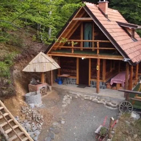 Vila Golija, hotel in Raška