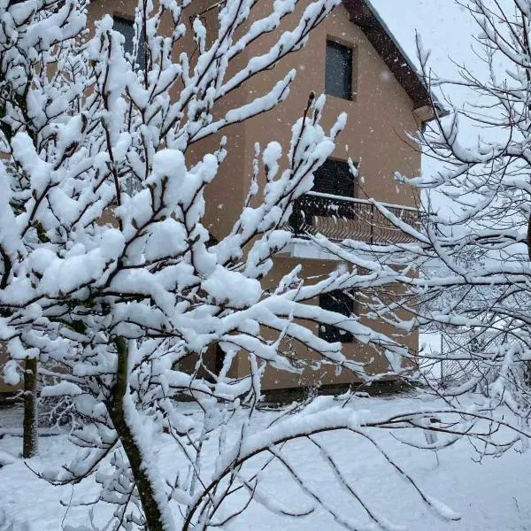 Apartmani Vlaška, hotel v destinaci Vlaška