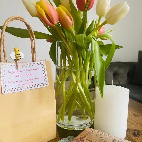 Studio apartman Avenija ***, hotel in Slavonski Brod