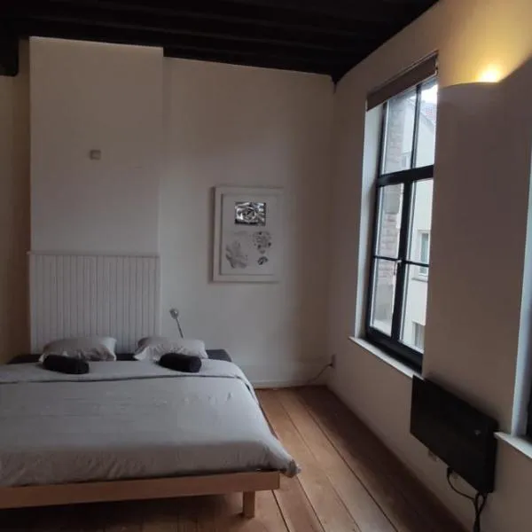 De Wijngaard, hotel in Ghent