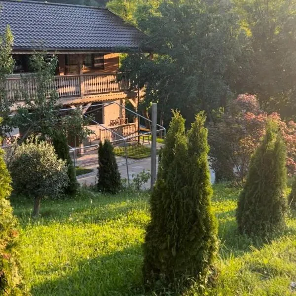 Muntele cu dor, hotell sihtkohas Buzau