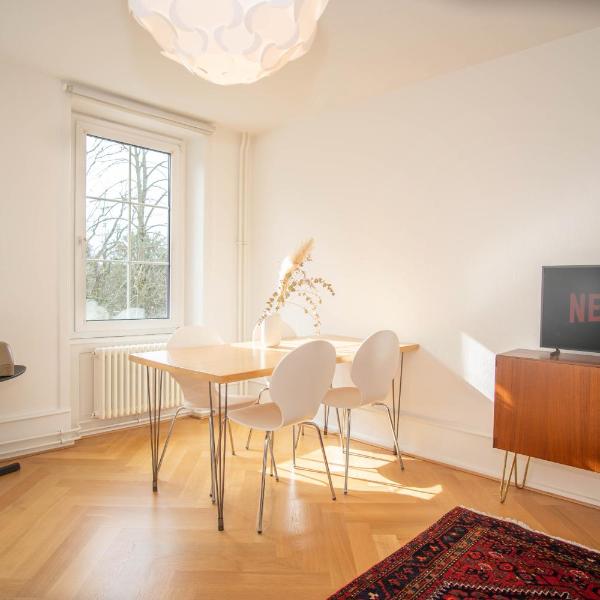 Spacious apartment next to park with free BaselCard, Basel