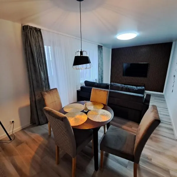 Jaukūs apartamentai centre A. J. Greimo g., hotel v destinaci Šiauliai
