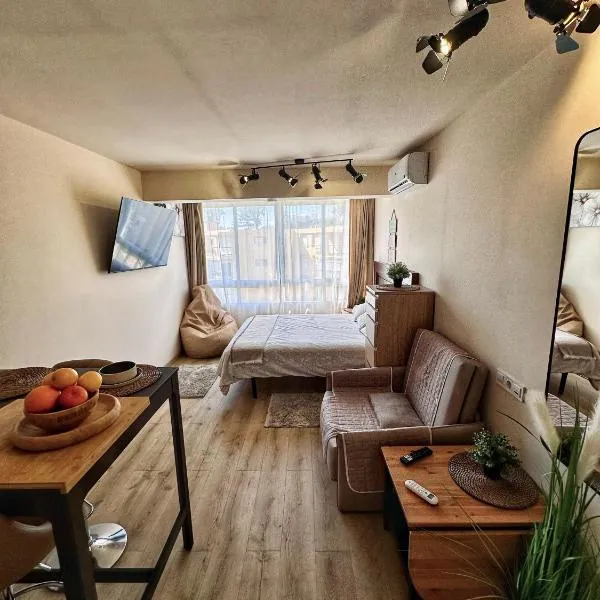 Beachfront Design LUX Studio Apartment, hotel a Estepona