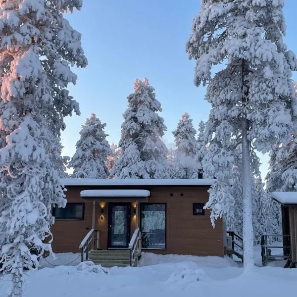 WALD Villas - Aavasaksa, Lapland, hotel in Aavasaksa