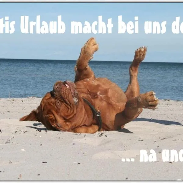 Bungalow WALD & SAND direkt am Strand, hotel v destinaci Dranske