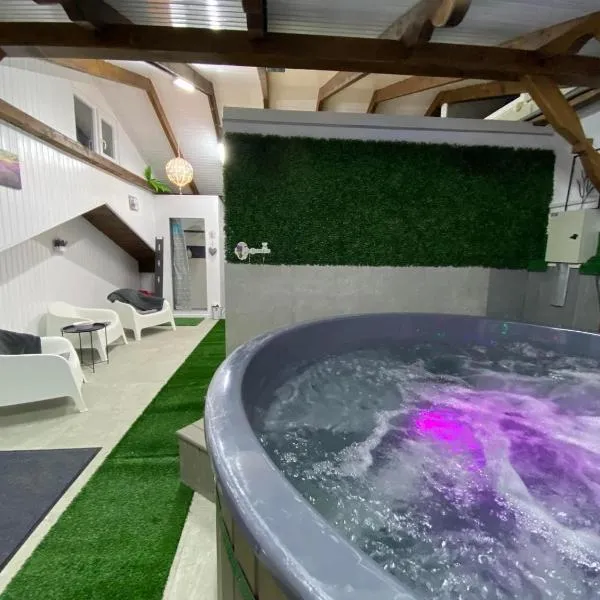 Complex Turistic Dávid, hotel in Boghiş