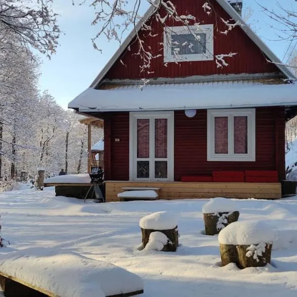 Chatky u potoka chatka n3, hotel in Olešnice v Orlických horách