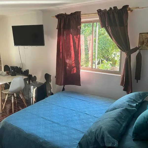 Westside - Habitación con baño privado，位于圣克鲁兹的酒店