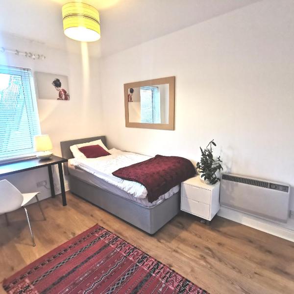 Single room in charming apartment with the terrace and the cat in Sandymount, Dublín