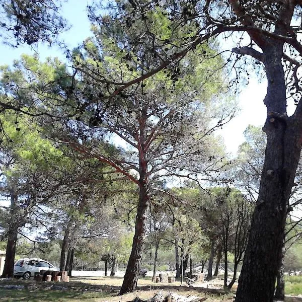 Eco Secluded apartments Zabodarski, hotel en Cunski