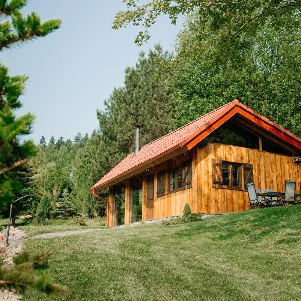 COOLna, hotel in Metylovice