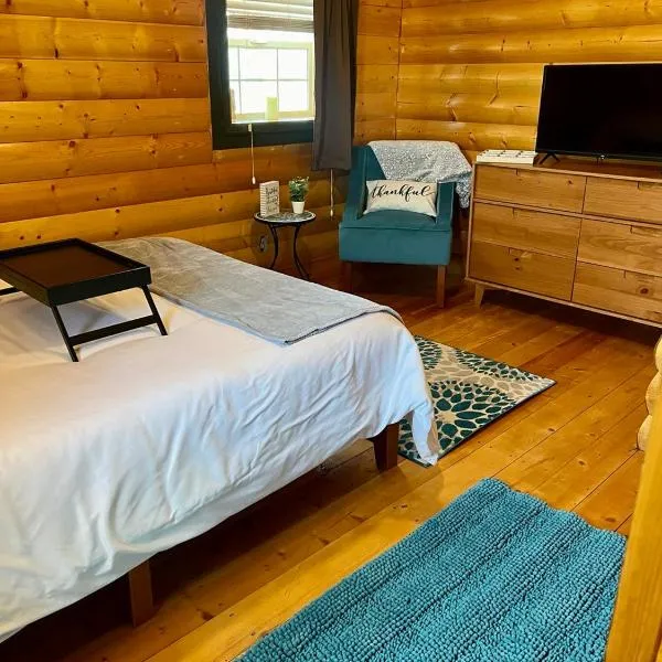 The Gratitude Homestay, hotel in Alamosa