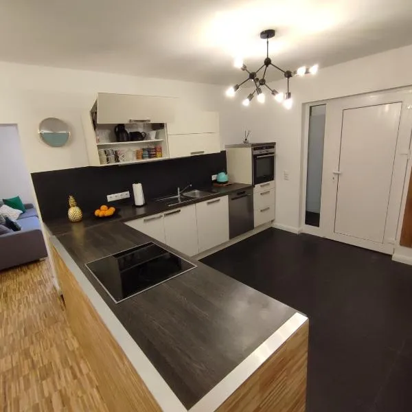 modernes Apartment in verkehrsgünstiger Lage, Hotel in Flörsheim am Main