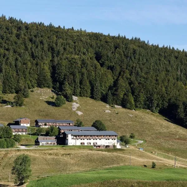 Hôtel Club Le Risoux, hotel en Bois-dʼAmont