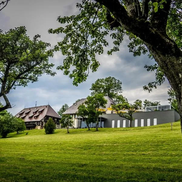 Hotel Hofgut Hohenkarpfen, hotel v destinaci Hausen ob Verena